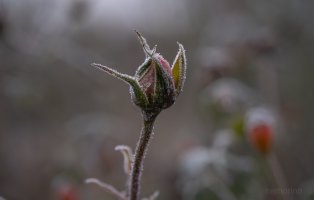 2025-01-25 12-10-07 (B,R4,S2)12.jpg