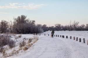 _MG_1068-20241221-DxO_DeepPRIME XD2s_DxO.jpg