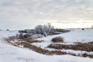 _MG_1052-20241221-DxO_DeepPRIME XD2s_DxO.jpg