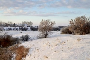 _MG_1021-20241221-DxO_DeepPRIME XD2s_DxO.jpg