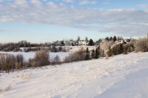 _MG_1036-20241221-DxO_DeepPRIME XD2s_DxO.jpg