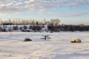 _MG_1032-20241221-DxO_DeepPRIME XD2s_DxO.jpg