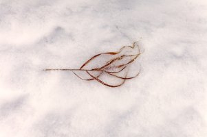 _MG_1220_DxO (1).jpg