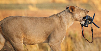 Screenshot 2025-02-10 at 1.23.17 PM.png