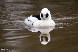 _MG_2539-DxO_DeepPRIME XD2s.jpeg