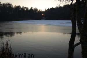 20250217_0001.JPG