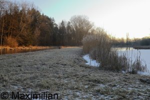 20250217_0004.JPG