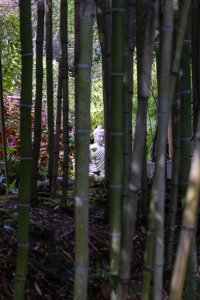 Small-3158.jpg Small-3158.jpg