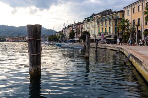 Small-3182.jpg Small-3182.jpg