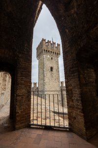 Small-3306.jpg Small-3306.jpg