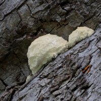 DSC_0148_DxO.jpg DSC_0148_DxO.jpg