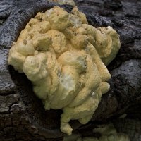 DSC_0151_DxO.jpg DSC_0151_DxO.jpg