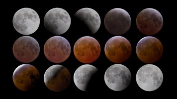 2025 Lunar Eclipse Montage small.jpg