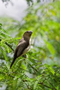 DSC_0339_DxO_DxO.jpg DSC_0339_DxO_DxO.jpg