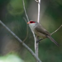 DSC_0344_DxO_DxO.jpg DSC_0344_DxO_DxO.jpg