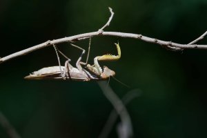 DSC_0454_DxO_DxO.jpg