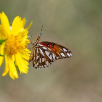 DSC_0563_DxO.jpg