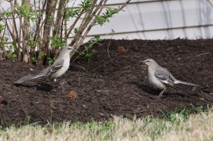 K41A1935.JPG K41A1935.JPG