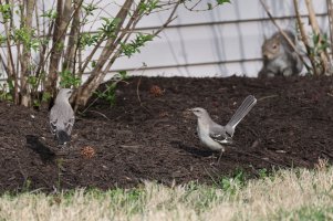 K41A1954.JPG K41A1954.JPG