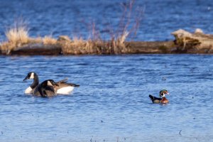 _V0A0834.jpg _V0A0834.jpg