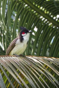 DSC_0612_DxO_DxO.jpg DSC_0612_DxO_DxO.jpg