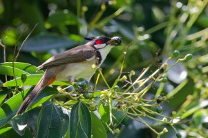 DSC_0627_DxO_DxO.jpg DSC_0627_DxO_DxO.jpg