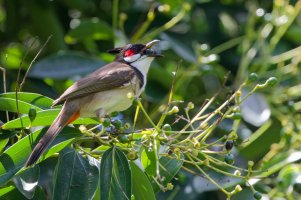 DSC_0630_DxO_DxO.jpg DSC_0630_DxO_DxO.jpg