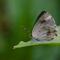 DSC_2167_DxO_DxO.jpg