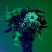 Bouquet - UV.jpg