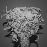 Bouquet - IR 850nm.jpg