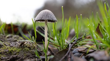 2025-04-18 11-43-50 (C,S4)20.jpg