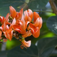DSC_1551_DxO_DxO.jpg