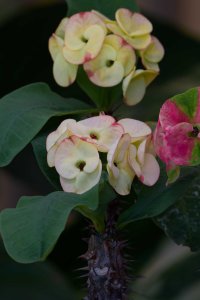 DSC_1570_DxO_DxO.jpg