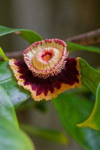 DSC_3713_DxO_DxO.jpg