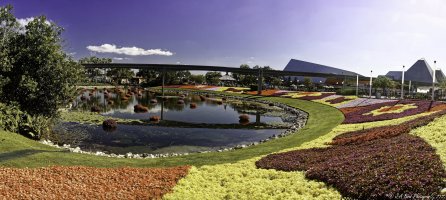 Epcot Mosaic_20250430_DxO 1.jpg