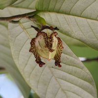 DSC_3775_DxO.jpg
