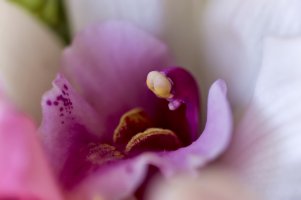 _V2A9982_DxO_Radiant.jpg