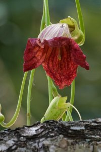 DSC_4087_DxO.jpg