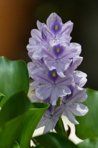 DSC_4106_DxO.jpg