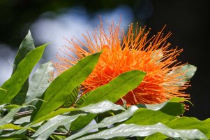 DSC_3985_DxO.jpg