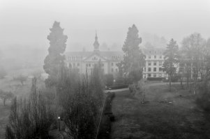 _V2A4556_DxO-topaz-sharpen_Radiant copy.jpg