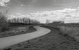 _V2A9841_DxO_Radiant copy_NIK-topaz-sharpen.jpg