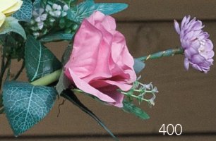 400 - 1000-800crop copie 2.jpg