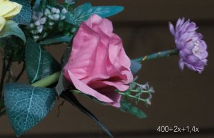 400+2x+14x - 640 - 800crop copie 2.jpg