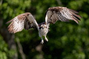 R1_100_2316_C1_2048.jpg R1_100_2316_C1_2048.jpg