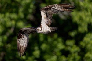 R1_100_2348_C1_2048.jpg R1_100_2348_C1_2048.jpg