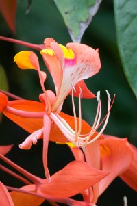 DSC_0824_DxO.jpg