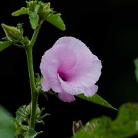 DSC_0871_DxO_DxO.jpg