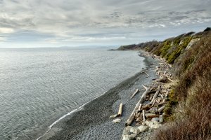 _DSF0653.jpg