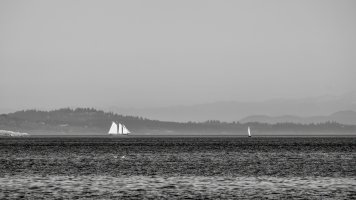 _DSF1312 copy-Edit-topaz-sharpen.jpg